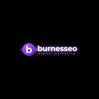 Burnes SEO
