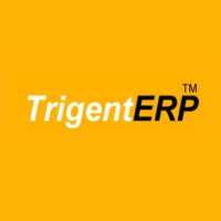 Manufacturing ERP Software for Industries|Trigent ERP