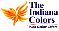 Holi Gulal Powder Manufacturer & Supplier in India